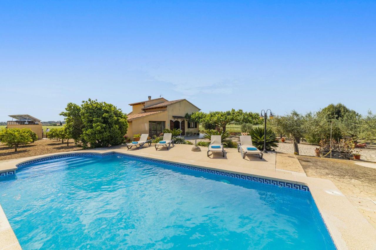 Villa Vernissa Santa Margalida Dış mekan fotoğraf